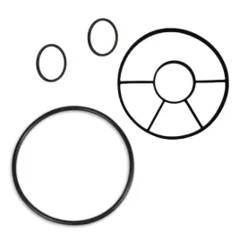 zestaw-uszczelka-zaworu-sterujacego-bestway-58515-58397-58495-58497-58499