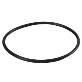 or-n-1524x57-oring-do-korpusow-big-blue-aquafilter