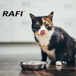 rafi-cat-veal-cielecina-mokra-karma-dla-kota-z-cielecina-bezzbozowa-400gx12