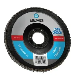 sciernica-lamelka-listkowa-berg-125x22-p40