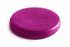 tiguar-dysk-air-disc-sliwka