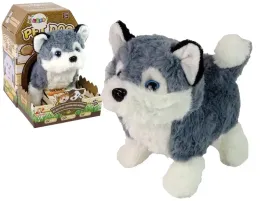 interaktywny-pies-husky-chodzi-rusza-ogonem-dzwiek