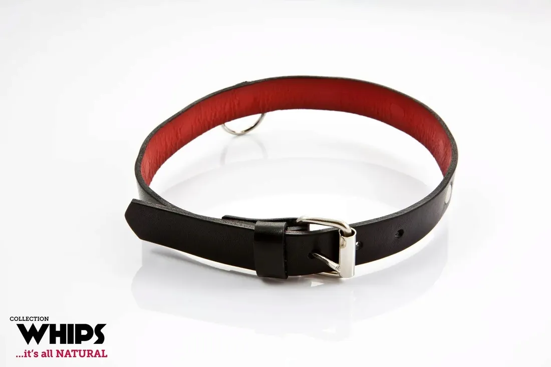 obroza-whips-czarny-waga-z-opakowaniem-0-15-kg