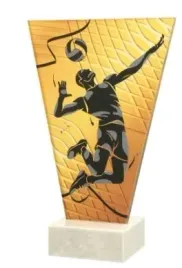 statuetka-szklana-szklo-siatkowka-175cm-grawer