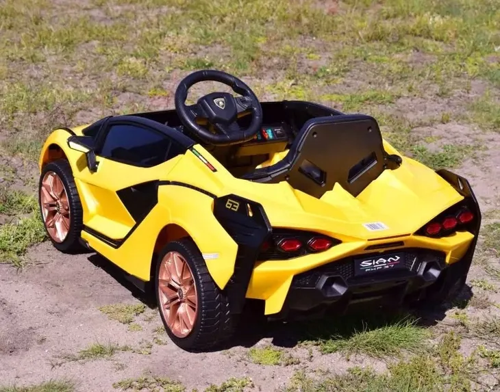 samochod-lamborghini-zolty-marka-lamborghini-maksymalne-obciazenie-30-kg