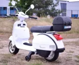 motor-vespa-bialy-do-30-kg-maksymalne-obciazenie-30-kg