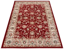 dywan-tradycyjny-200x300-gruby-modny-perski-w10