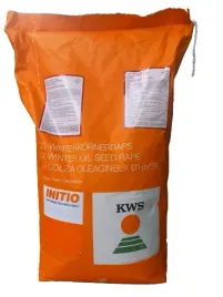 kws-derrick-scenic-gold-buteo-start-2025-nasiona-rzepaku