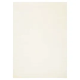 dywan-mono-200x300-gladki-jednokolorowy-modny-v11