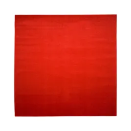 dywan-mono-200x200-gladki-jednokolorowy-modny-v9