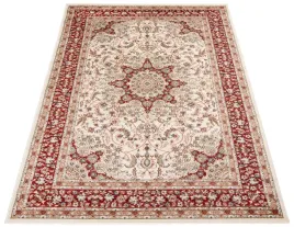 dywan-tradycyjny-200x300-gruby-modny-perski-w06