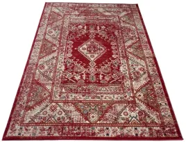 dywan-perski-250x350-dywany-tradycyjne-grube-l29r