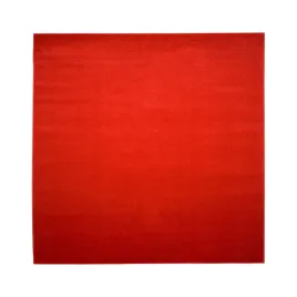 dywan-mono-250x250-gladki-jednokolorowy-modny-v9