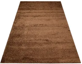 dywan-deli-shaggy-160x220-pluszowy-soft-30mm-388br