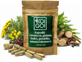 ziolowa-apteczka-ziola-natura-wrotycz-piolun-pasozyty-detox-odrobaczanie