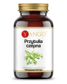 przytulia-czepna-oczyszczanie-organizmu-90-k-yango