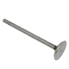 zawor-ssacy-international-220