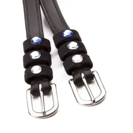 paski-do-ostrog-skorzane-kolory-por-roku-seasons-dream-winter-morning