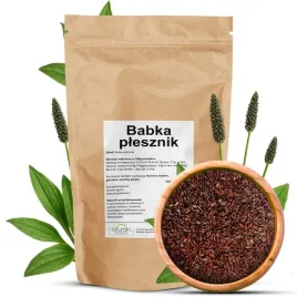 babka-plesznik-nasiona-1kg-babka-plesznik-oczyszczanie-praca-jelit-1000g