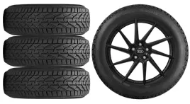 nowe-kola-zima-audi-q3-f3-riken-215-65r17