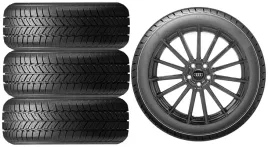 nowe-kola-zima-audi-a4-b9-roadx-225-50r17