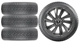 nowe-kola-zima-tesla-model-y-nokian-255-40r20