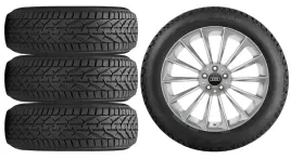 nowe-kola-zima-audi-a6-c8-f2-riken-225-55r18