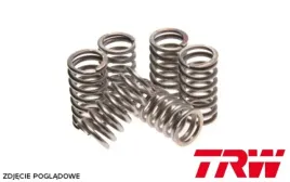 trw-zf-sprezyny-sprzeglowe-kawasaki-zx-6r-600-ninja-95-04-z-750-04-14-z-8