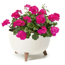 doniczka-misa-okragla-nogi-40-cm-kremowy