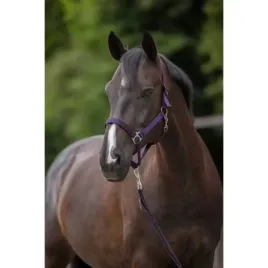 kantar-dla-konia-hippo-fioletowy-roz-00-foal-3222135-covalliero