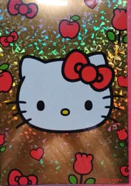 kartka-imieniny-urodziny-zaproszenia-215-x-30-cm-sy