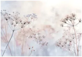 fototapeta-kwiaty-boho-natura-do-sypialni-salonu-tapeta-flizelina-300x210
