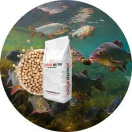 groch-ziarna-zaneta-przyneta-karma-5-kg
