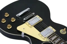 gitara-elektryczna-typu-les-paul-lp-dodatki