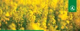 agrosar-1l-glifosat-randap-stan-nowy-waga-1-2-kg