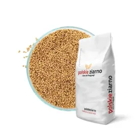 gorczyca-poplonowa-zolta-poplon-paszowa-miododajna-nasiona-pasz10kg