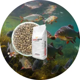 lubin-ziarna-zaneta-przyneta-karma-5-kg