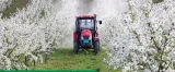 decis-expert-100ec-1l-deltametryna-stonka-wciornastek-stan-nowy