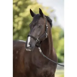 kantar-dla-konia-hippo-czarny-roz-1-pony-3222125-covalliero