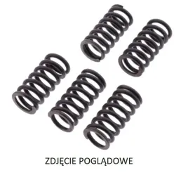 trw-zf-sprezyny-sprzeglowe-suzuki-rm-125-250-01-12