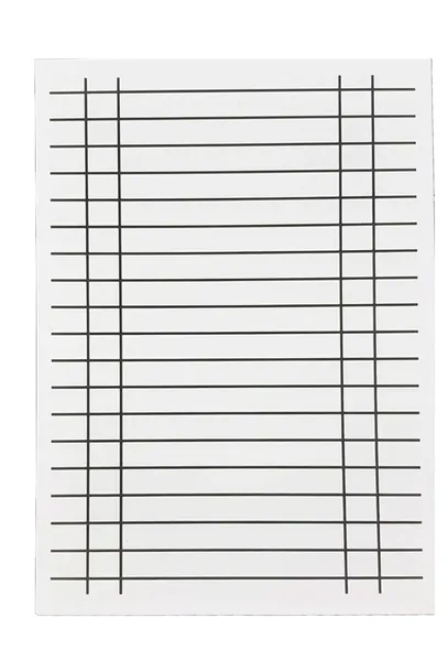 ryga-liniuszek-format-a5-dwustronna-kratka-linia-interdruk-plec-chlopcy-dziewczynki