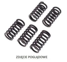 trw-zf-sprezyny-sprzeglowe-aprilia-pegaso-strada-trail-650-05-10
