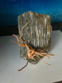 unikalny-kamien-do-akwarium-lupek-drzewiasty-waga-6kg