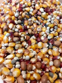 zaneta-na-ryby-kukurydza-bobik-konopia-lubin-5x1kg