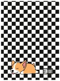 mocna-funkcjonalna-teczka-a4-st-right-sleepy-corgi-300g-m2-dla-dzieci