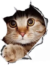 naklejka-3d-kot-z-dziura-dziura-na-samochod-sciane