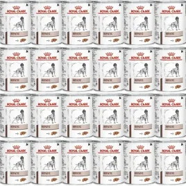 mokra-karma-dla-psa-vd-dog-hepatic-24-x-420-g