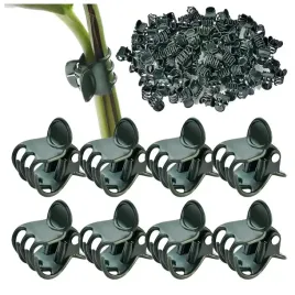 spinki-klipsy-do-podpor-roslin-zabki-50sz-podpierania-podpinania-storczykow