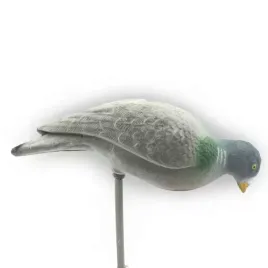 balwanek-grzywacza-zerujacy-flokowany-14-dzika-knieja