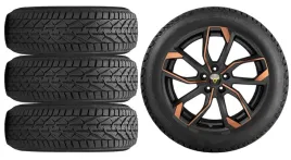 nowe-kola-zima-cupra-formentor-riken-245-45r18